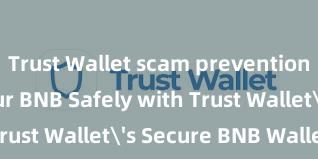 Trust Wallet scam prevention Store Your BNB Safely with Trust Wallet's Secure BNB Wallet